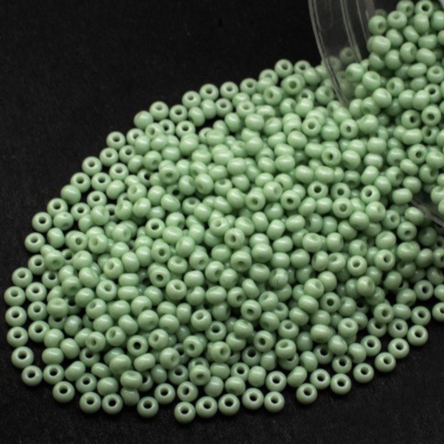 03662 Czech seed beads PRECIOSA round 10/0 light light green grey. Chalk - Solgel Dyed.