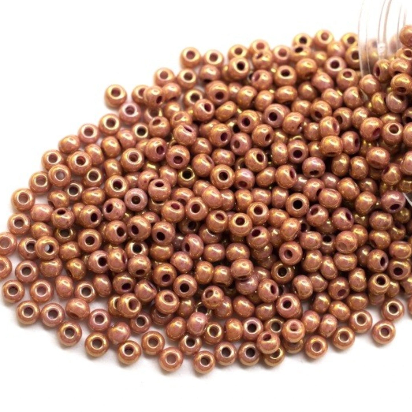 46095 Czech Seed Beads Preciosa Rocailles Opaque - Color Lustered