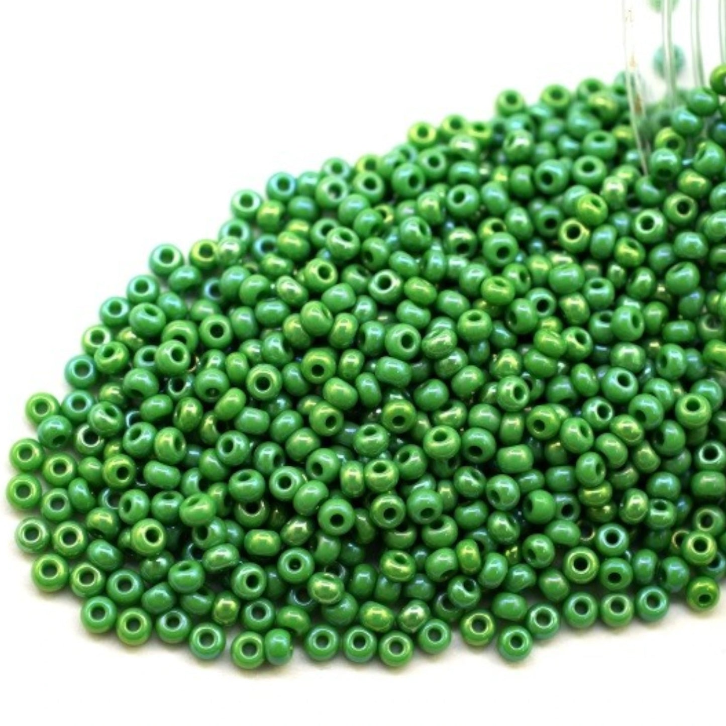 10/0 54250 Preciosa Seed Beads. Opaque rainbow green.