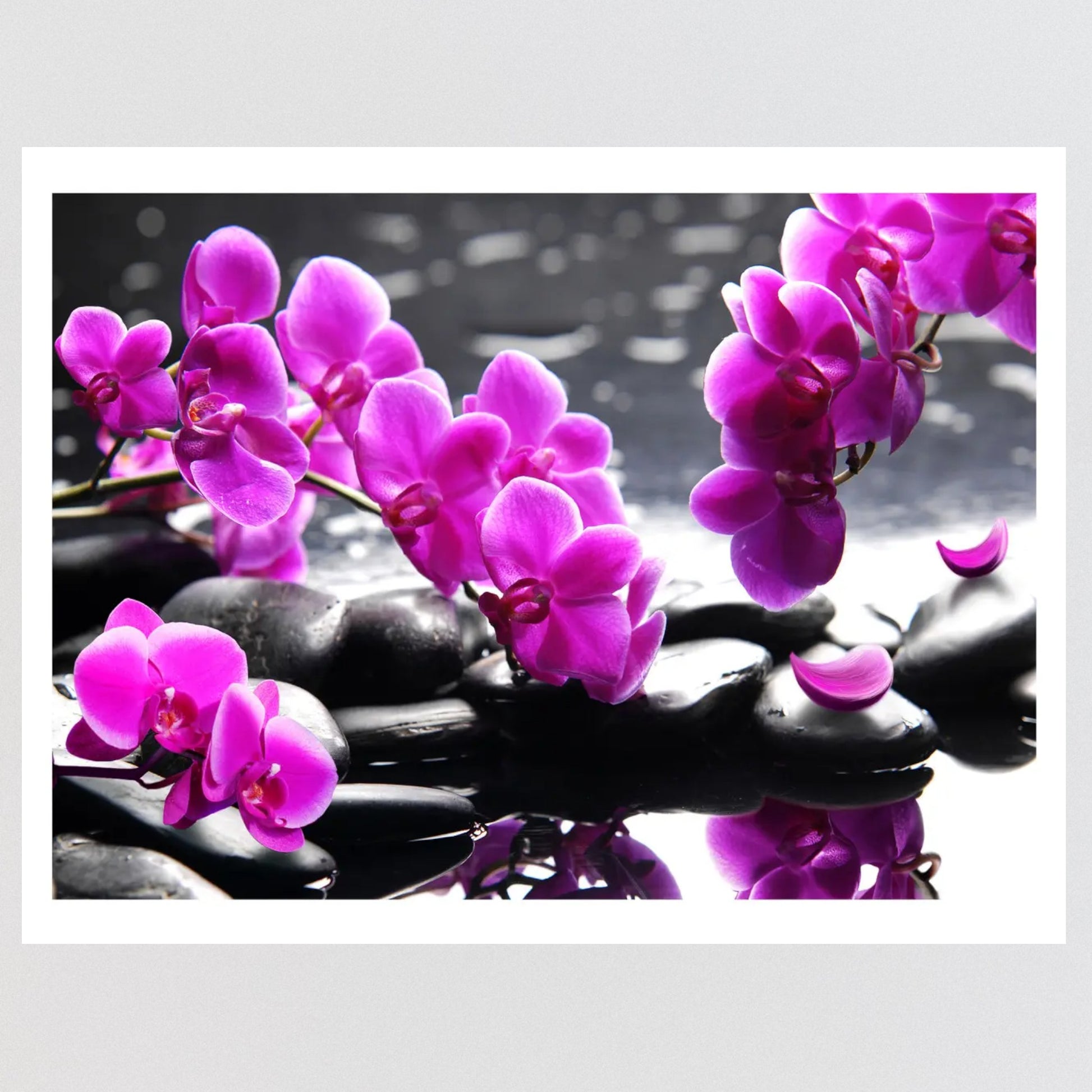 DIY Bead embroidery kit  "Orchid over water". Size: 16.5 - 11.8 in (42 - 30cm) - VadymShop